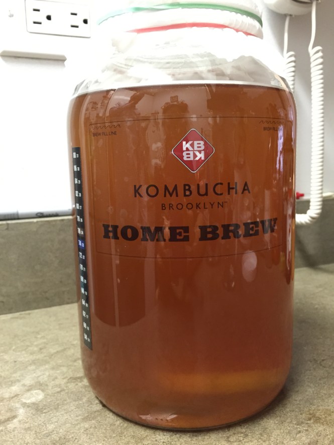 kombucha_ready to brew